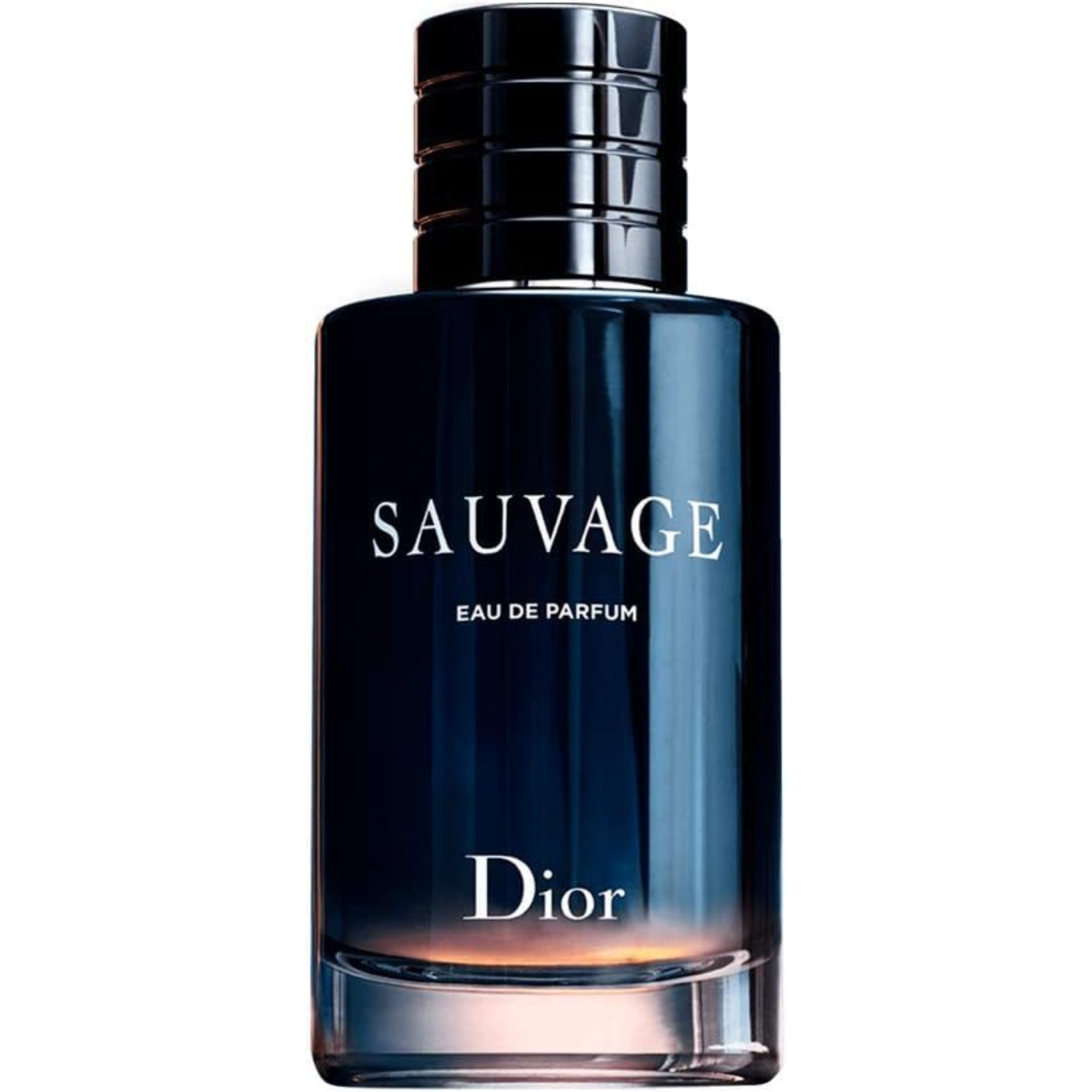 Dior Sauvage Eau de Parfum for Men 100ml – PharmaElagance